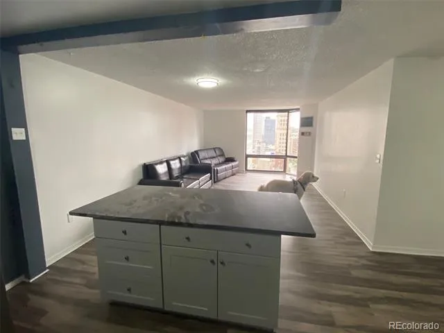 1625 Larimer Street #2004 Denver, CO 80202