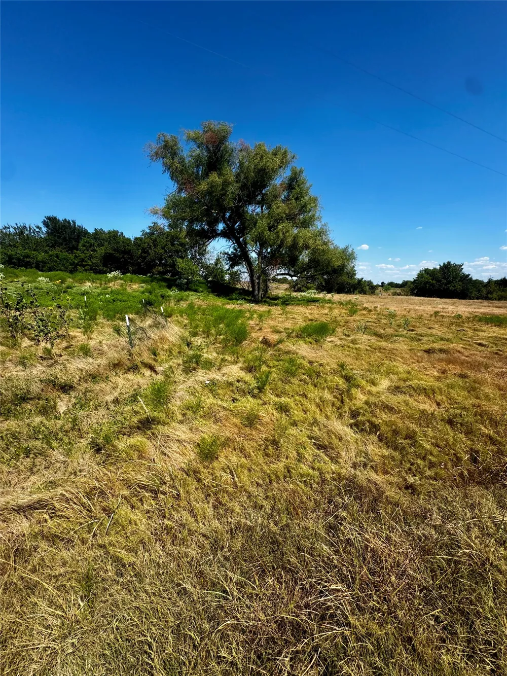 16 CR 327 Granger, TX 76530