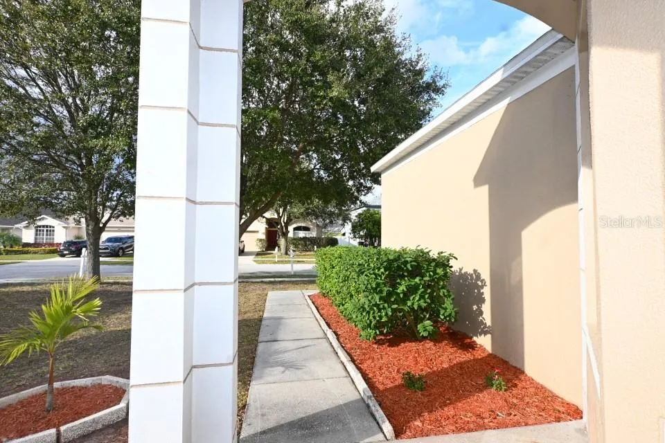 24852 PORTOFINO DR Lutz, FL 33559