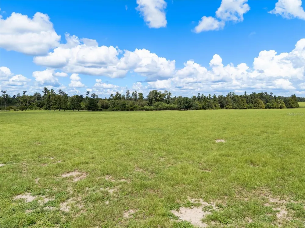 LAWS ROAD Clermont, FL 34711