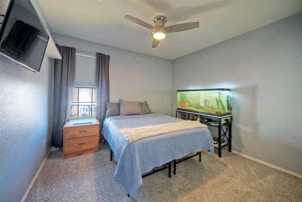 370 Holly Grove Street Kyle, TX 78640