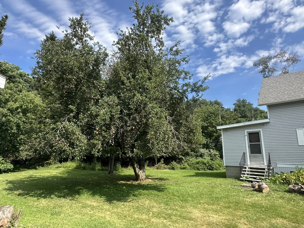 140 W Parkdale Avenue Manistee, MI 49660
