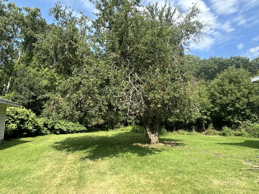 140 W Parkdale Avenue Manistee, MI 49660