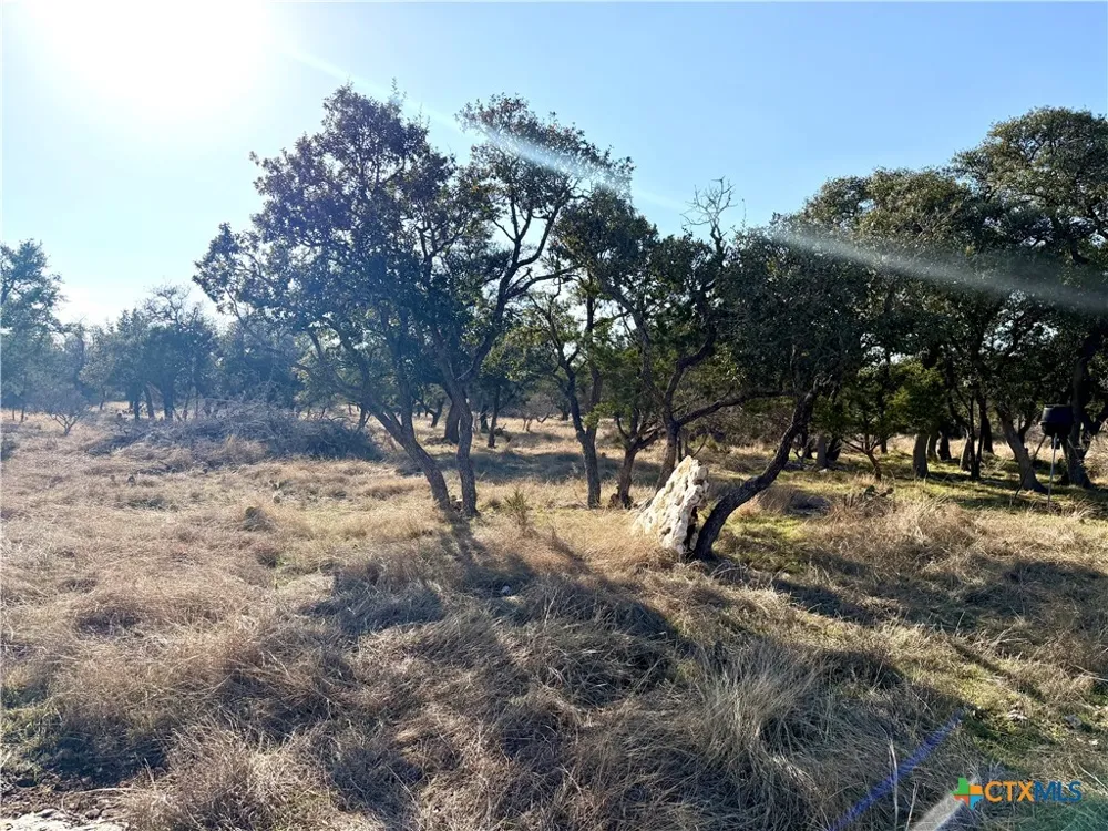 county Road 233 Road Florence, TX 78633
