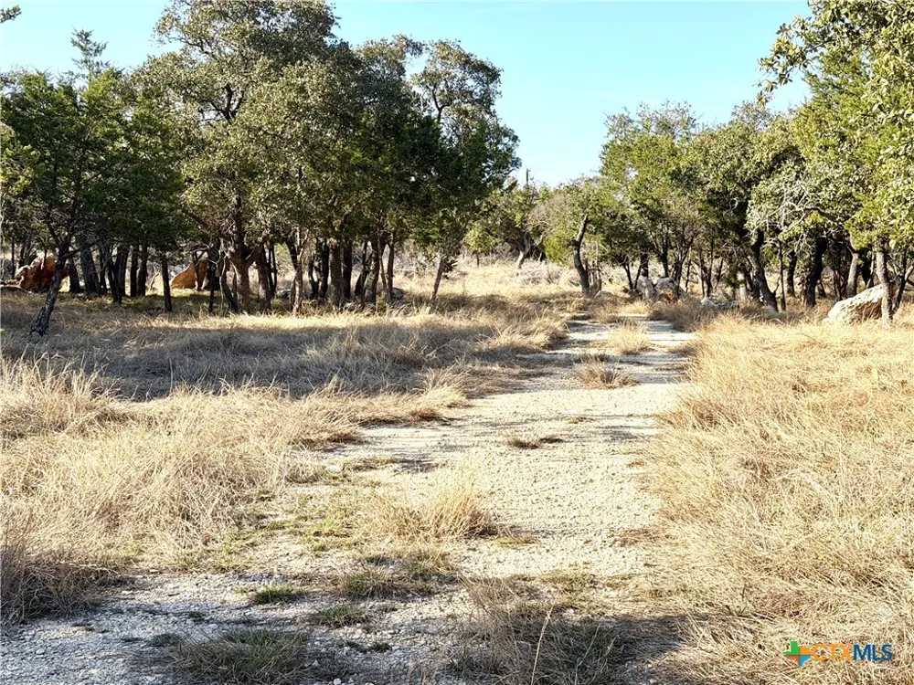 county Road 233 Road Florence, TX 78633
