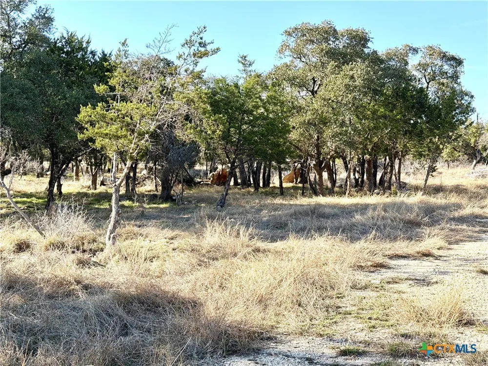 county Road 233 Road Florence, TX 78633