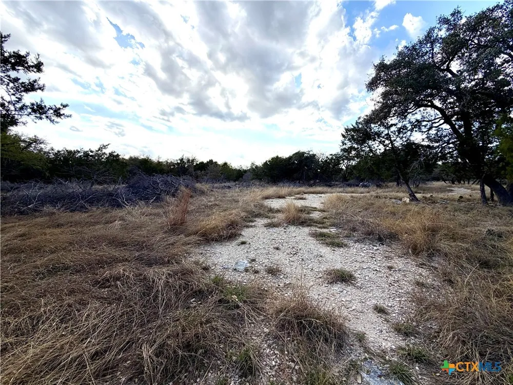 county Road 233 Road Florence, TX 78633