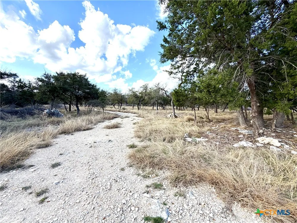 county Road 233 Road Florence, TX 78633