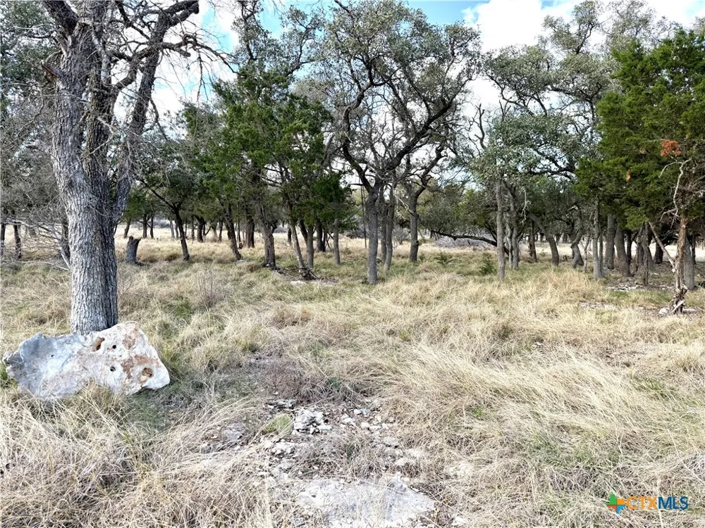 county Road 233 Road Florence, TX 78633