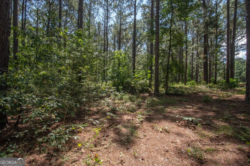 4079 Primrose RD Grantville, GA 30220