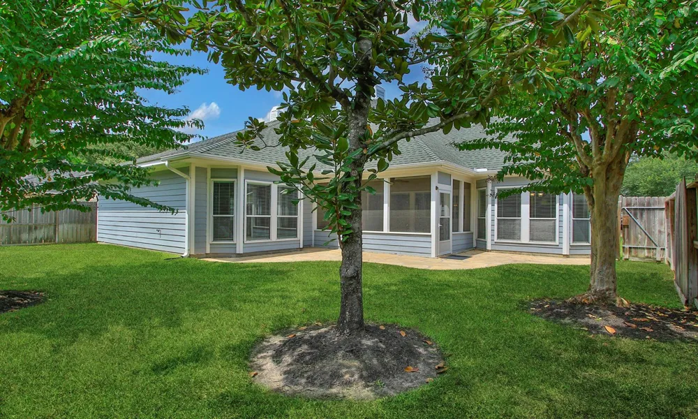 16239 Pine Thorn Drive Houston, TX 77095