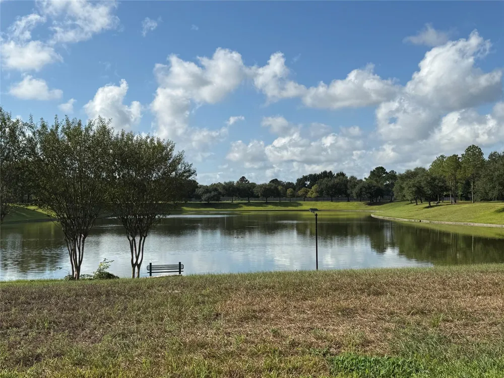 16239 Pine Thorn Drive Houston, TX 77095
