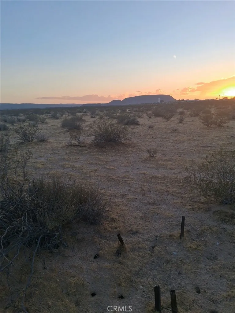 Jellico Street Yermo, CA 92398