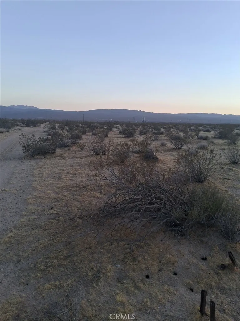 Jellico Street Yermo, CA 92398