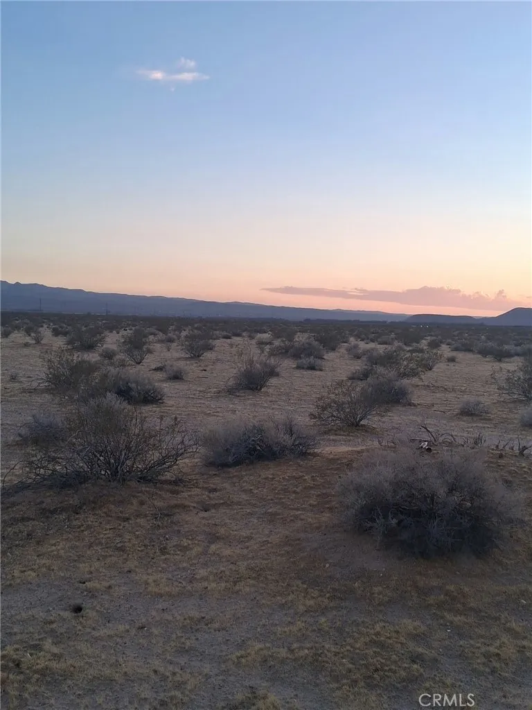 Jellico Street Yermo, CA 92398