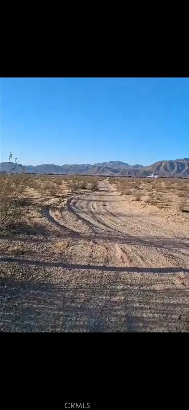 Jellico Street Yermo, CA 92398