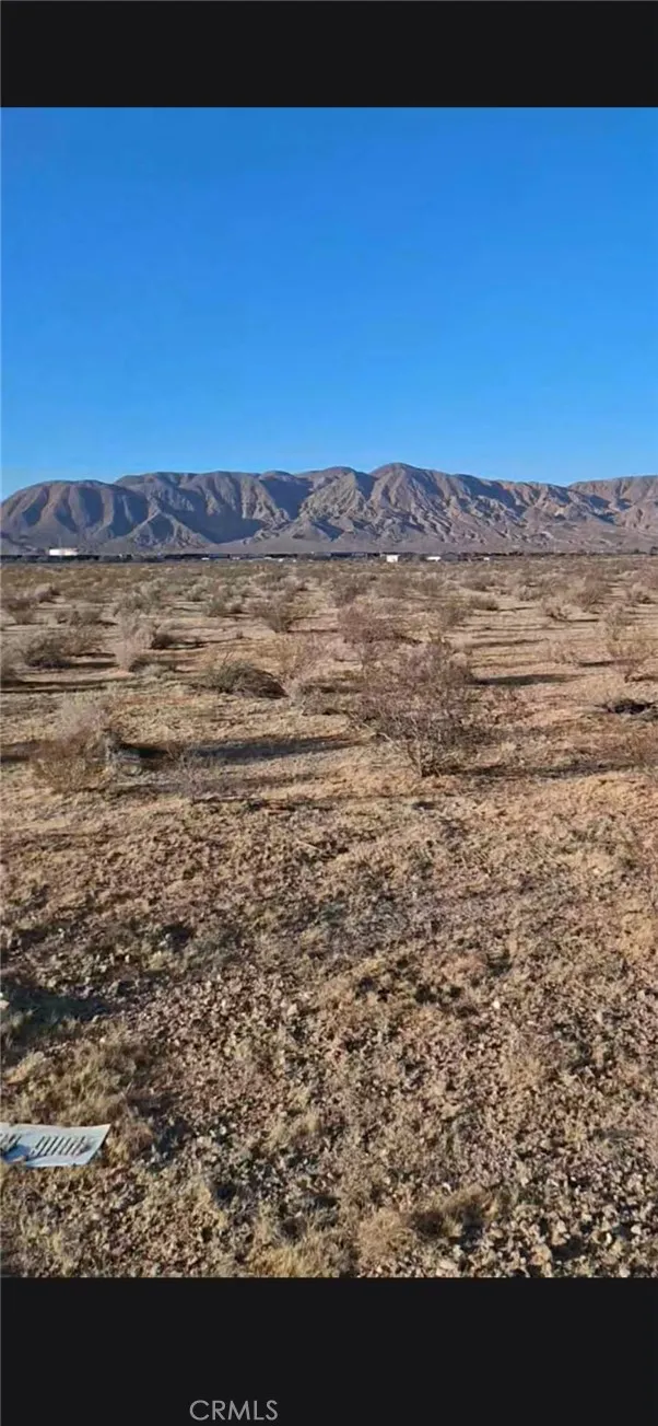 Jellico Street Yermo, CA 92398