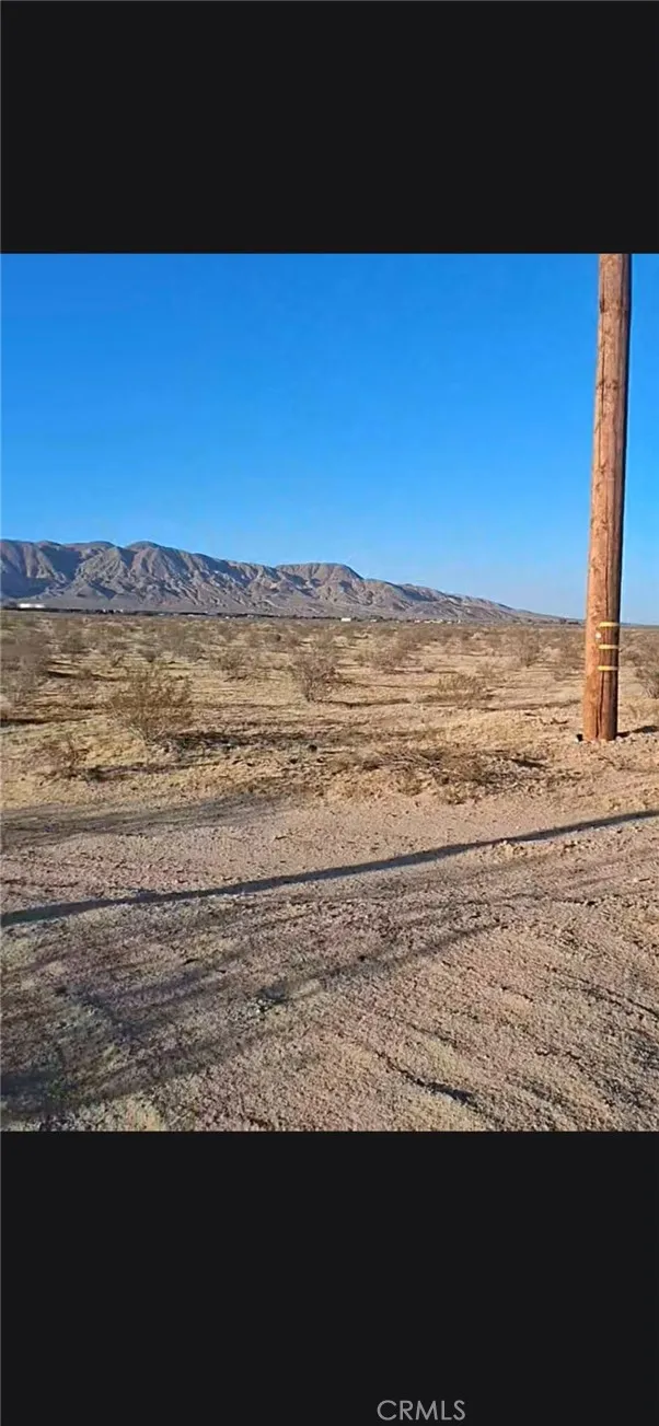Jellico Street Yermo, CA 92398