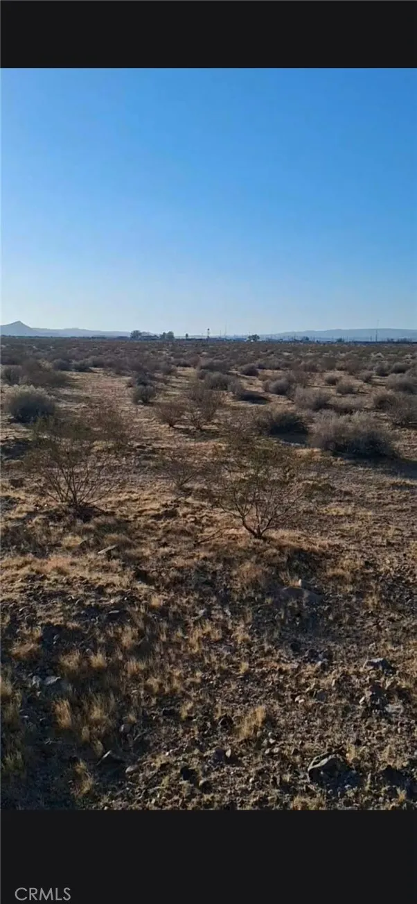 Jellico Street Yermo, CA 92398