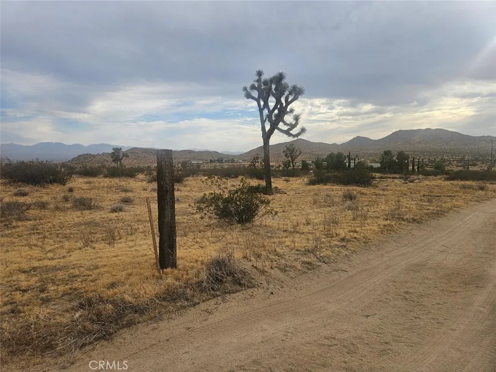 205 E Avenue J4 Lancaster, CA 93535