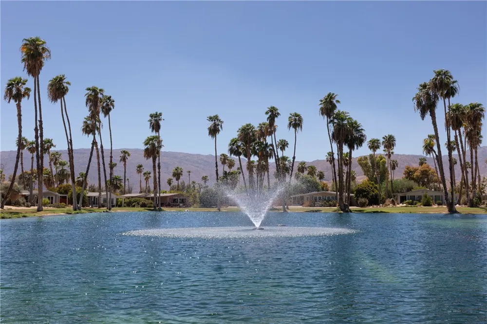 1010 Palm Canyon #58 Borrego Springs, CA 92004