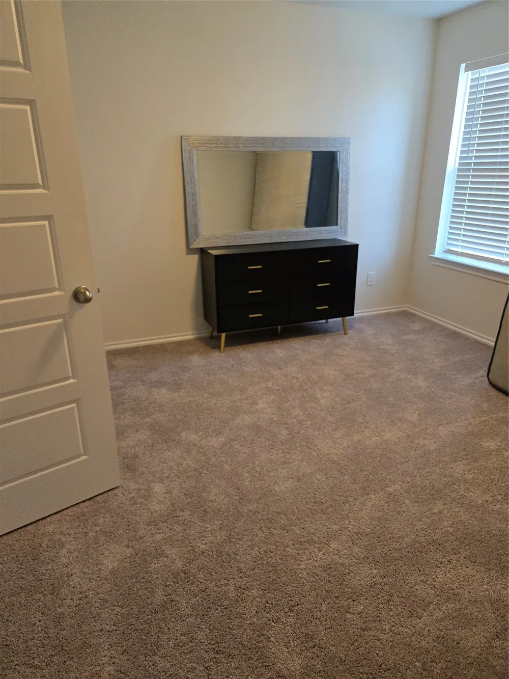 3013 Apple Creek Avenue Heartland, TX 75114