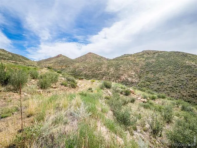 252 Red Mountain Court Livermore, CO 80536