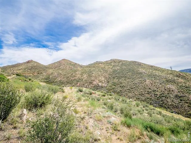 252 Red Mountain Court Livermore, CO 80536