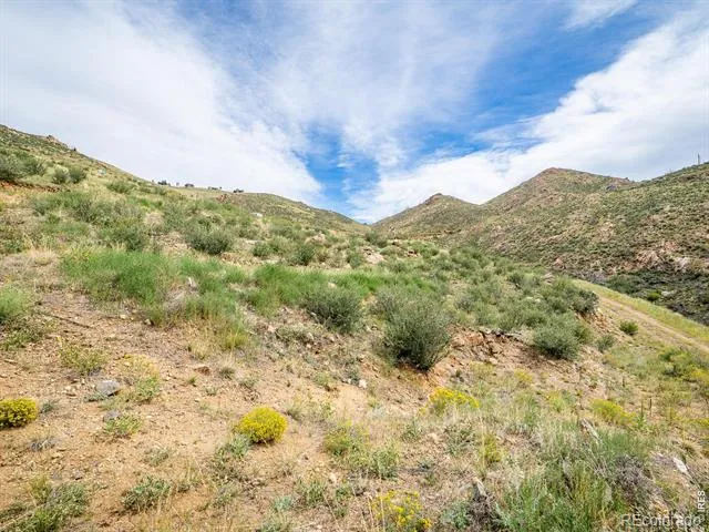 252 Red Mountain Court Livermore, CO 80536