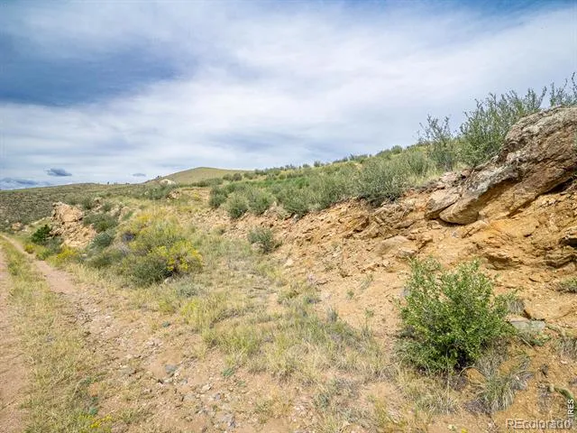 252 Red Mountain Court Livermore, CO 80536