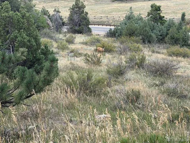 252 Red Mountain Court Livermore, CO 80536
