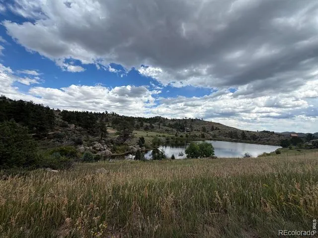 252 Red Mountain Court Livermore, CO 80536