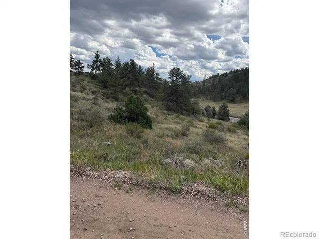252 Red Mountain Court Livermore, CO 80536