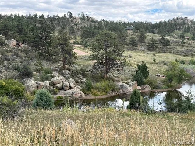 252 Red Mountain Court Livermore, CO 80536