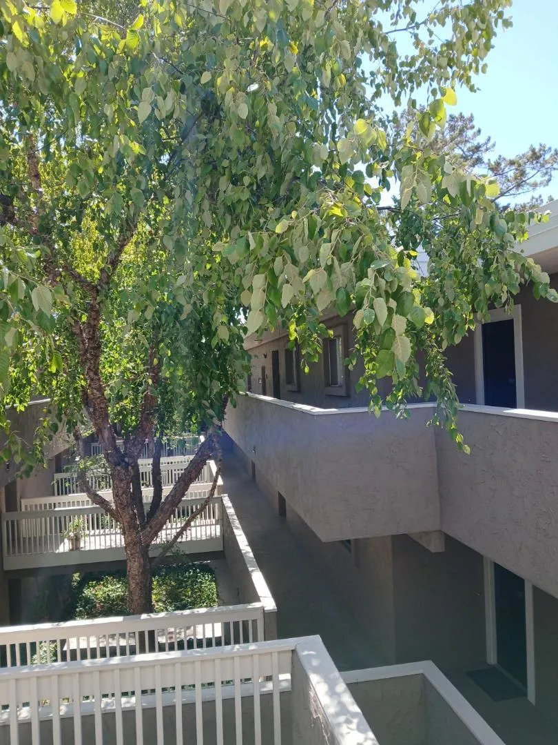 675 Sharon Park Drive #322 Menlo Park, CA 94025
