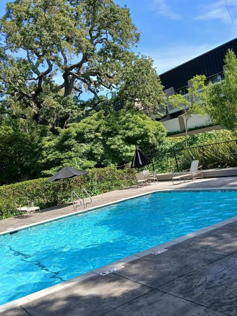 675 Sharon Park Drive #322 Menlo Park, CA 94025