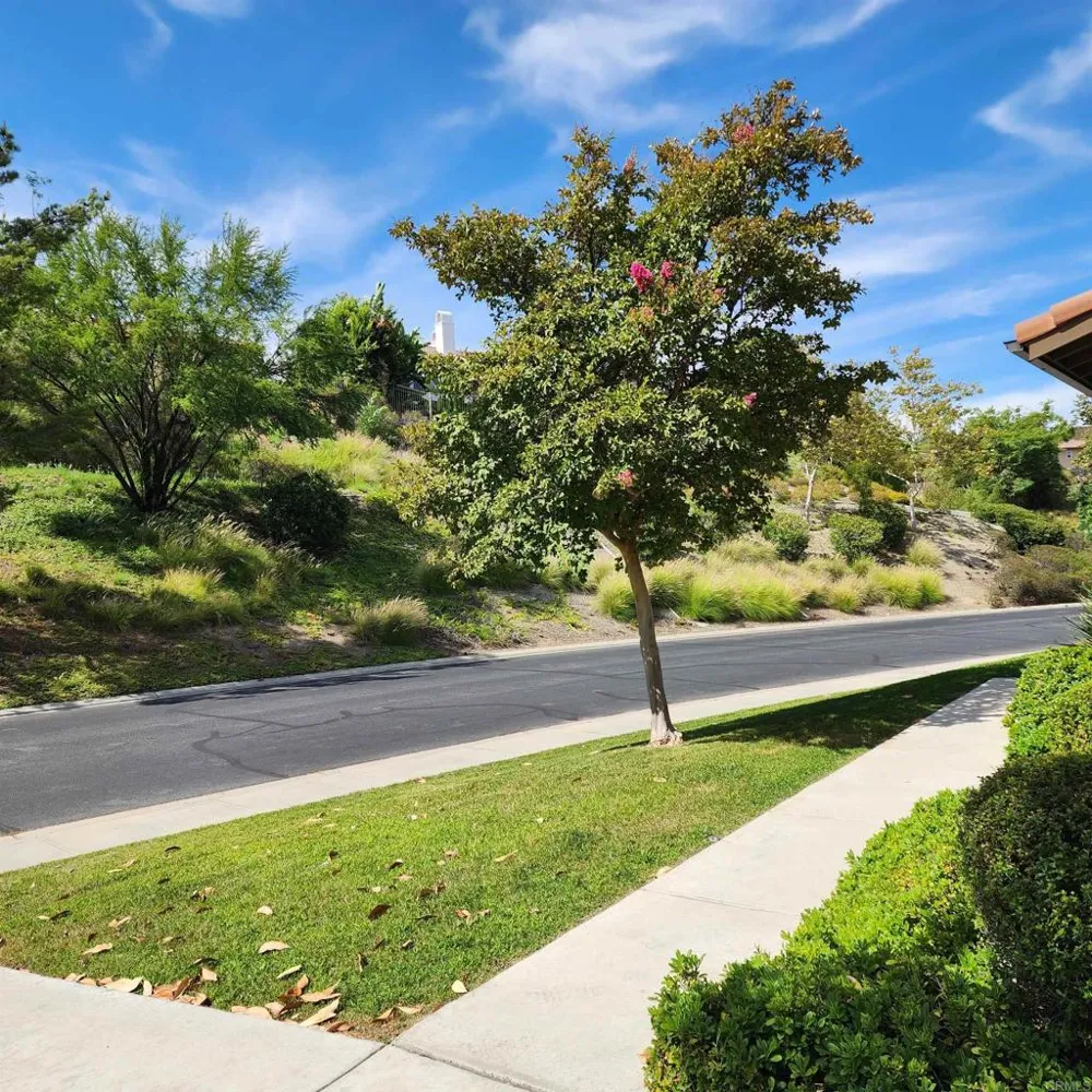 27002 Red Maple Murrieta, CA 92562