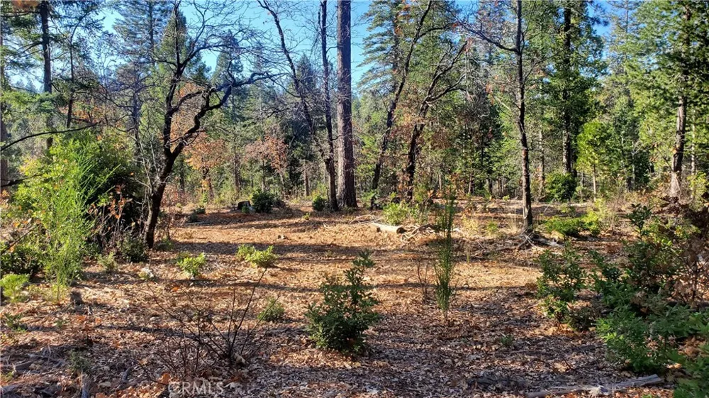 88 Coutolenc Magalia, CA 95954