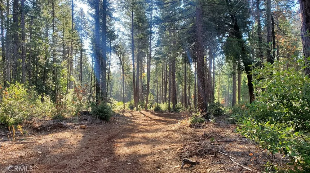 88 Coutolenc Magalia, CA 95954