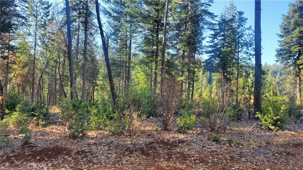 88 Coutolenc Magalia, CA 95954