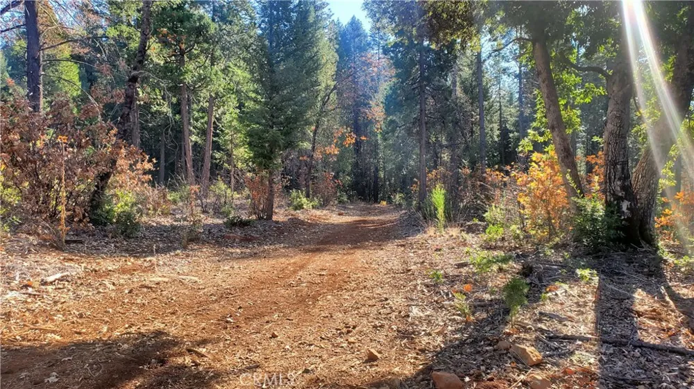 88 Coutolenc Magalia, CA 95954