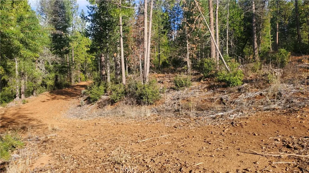 86 Coutolenc Road Magalia, CA 95954
