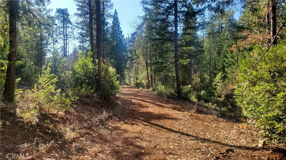 86 Coutolenc Road Magalia, CA 95954