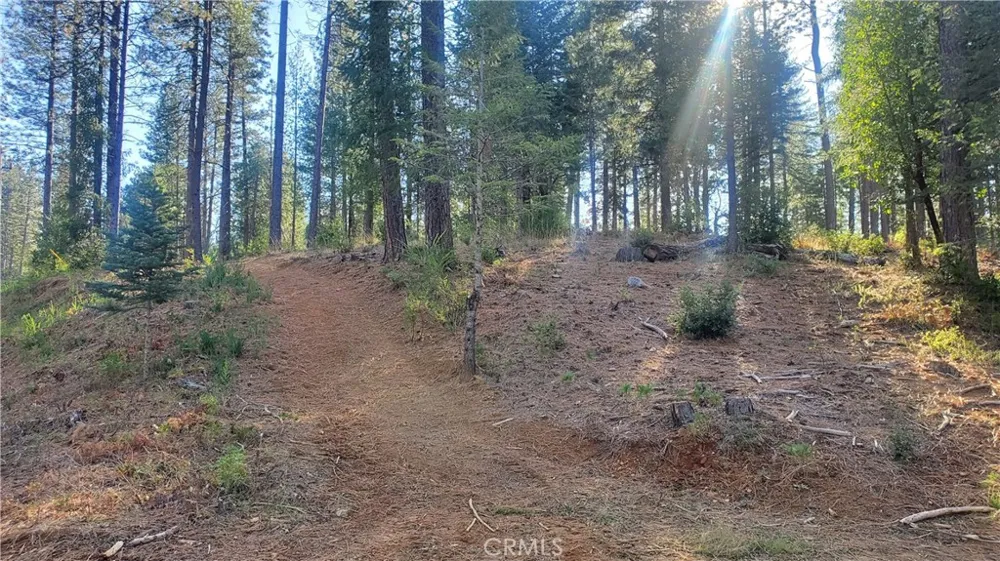 86 Coutolenc Road Magalia, CA 95954