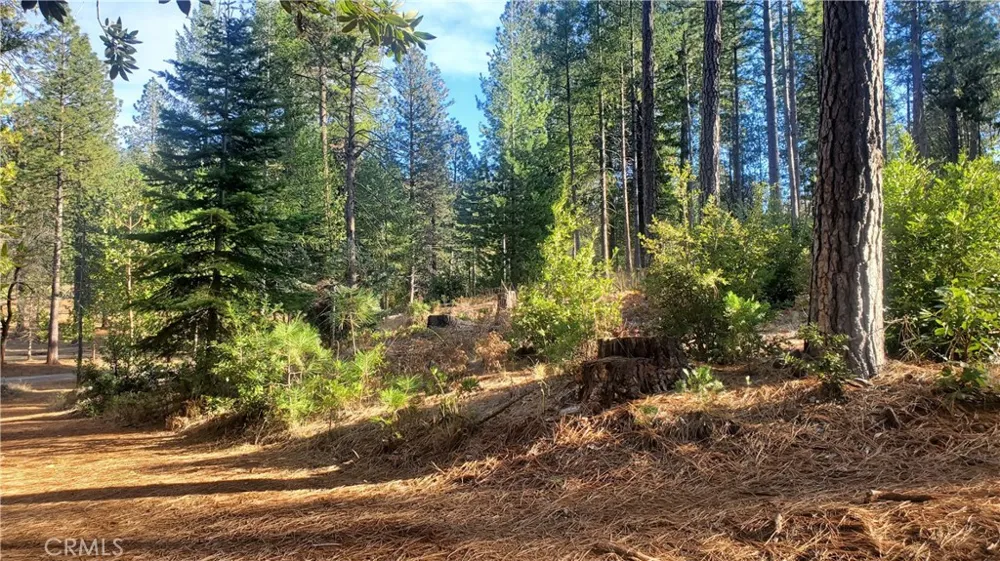 86 Coutolenc Road Magalia, CA 95954