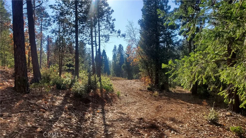 86 Coutolenc Road Magalia, CA 95954