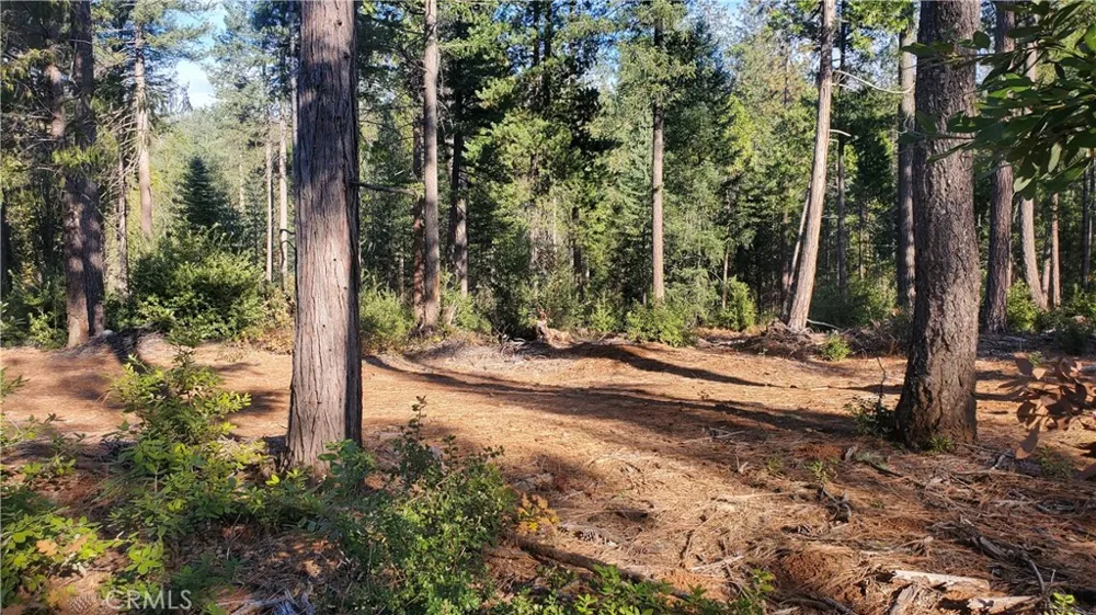 87 Coutolenc Road Magalia, CA 95954