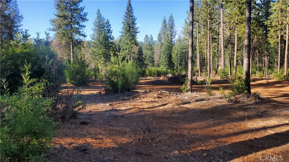 87 Coutolenc Road Magalia, CA 95954