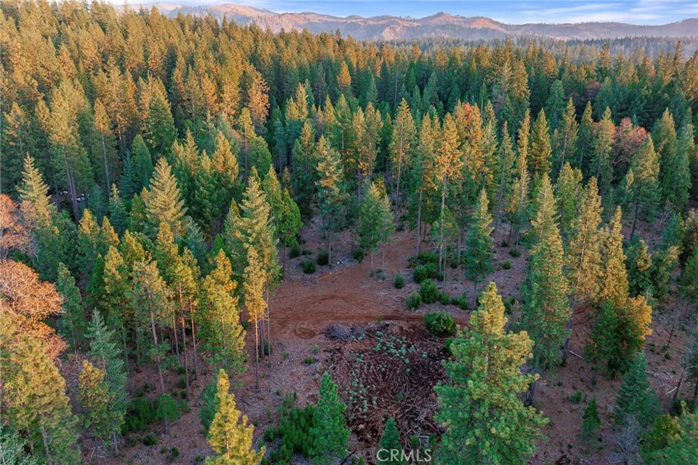 87 Coutolenc Road Magalia, CA 95954