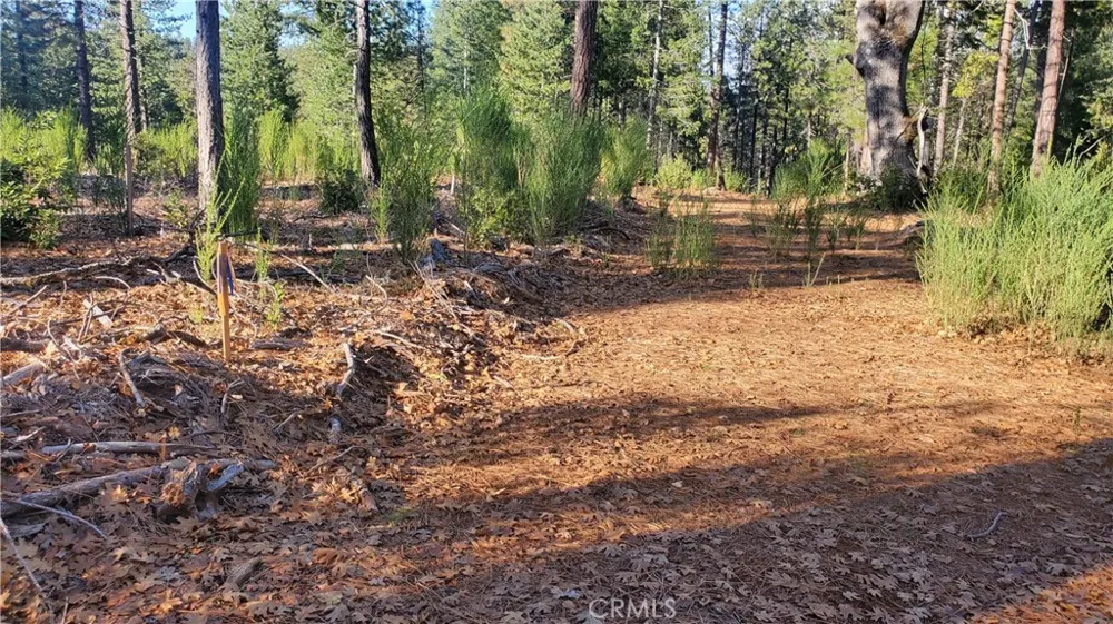 87 Coutolenc Road Magalia, CA 95954
